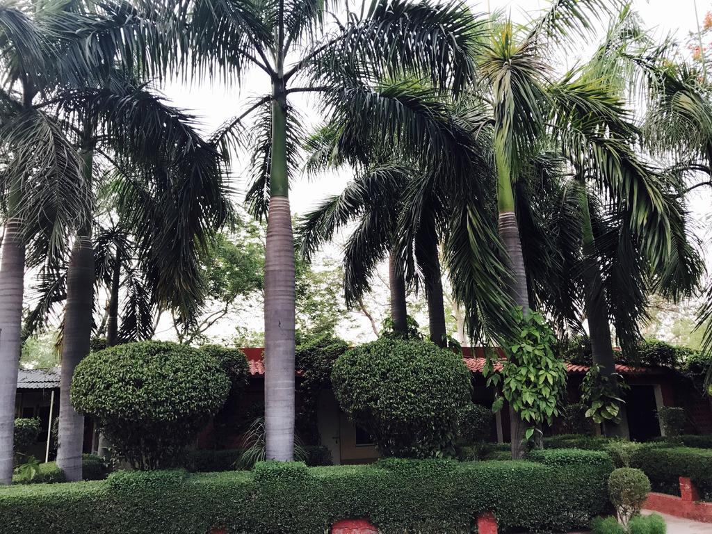 Hotel Sheela, 100M From Taj Mahal Agra  Bagian luar foto